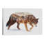 Arctic Grizzly Bear by Andreas Lie - Print on Canvas-29382404-56677623