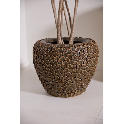Célia Nazim Planter