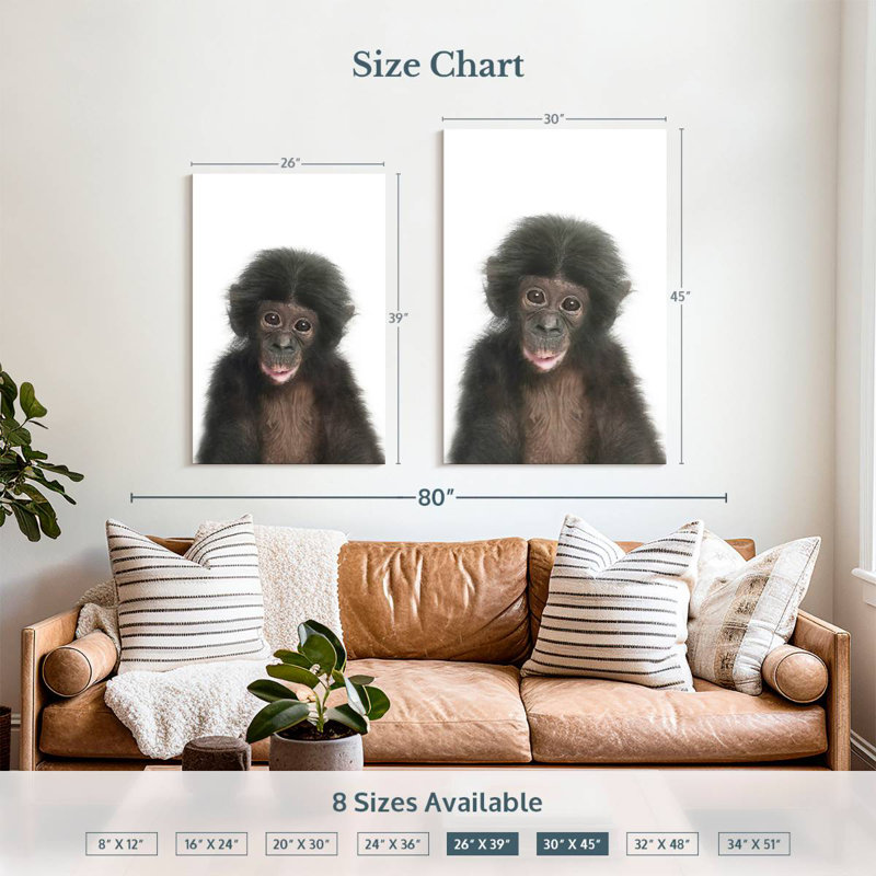 Brampt Baby Monkey, 39" H x 26" W