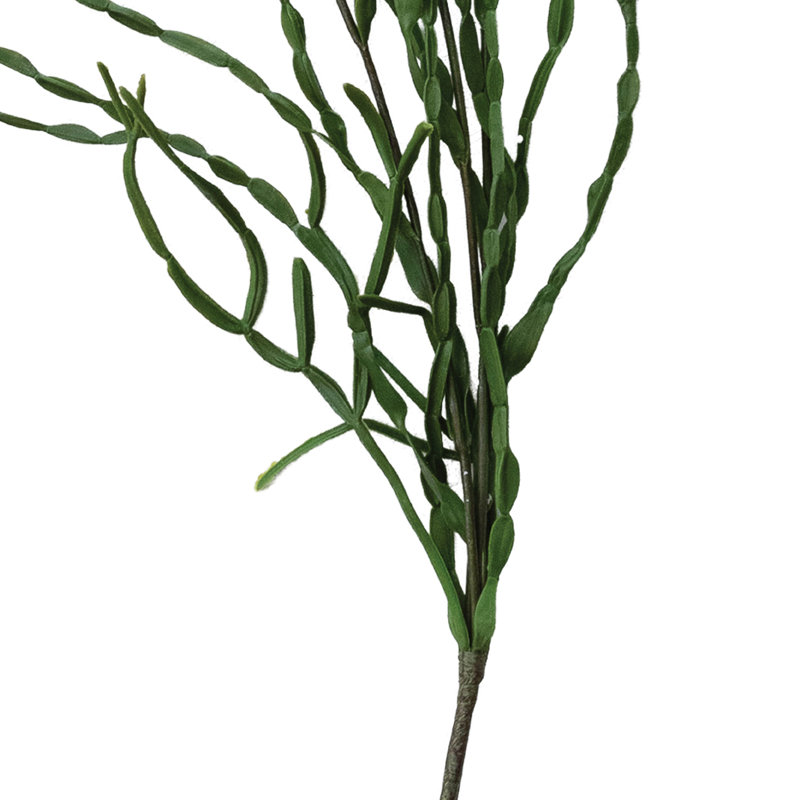 Faux cactus, vert