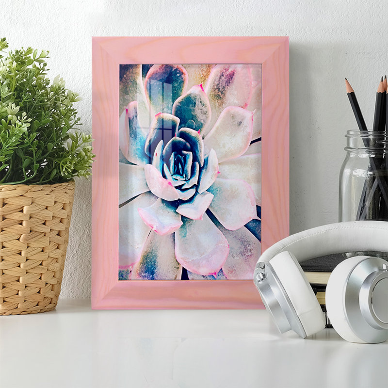 Pastel Succulent Beauty II, reproduction d'art encadrée, H 6 po x l 4 po x P 1 po, Rose