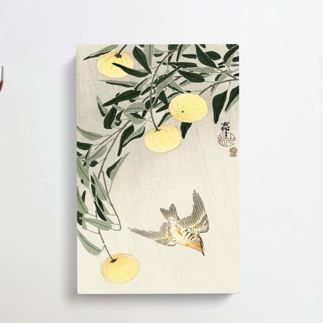 Cuckoo Bird in Flight by Ohara Koson - Wrapped Canvas