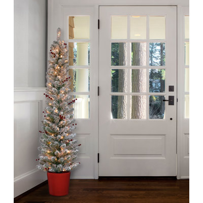 White 5' Pre-Lit Fir Tree