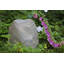Spataro paysage jardin pierre-2040482804