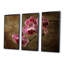 Fleurs d'orchidée fuchsia en gros plan - ensemble de décoration murale orchidée-108309539-108309537