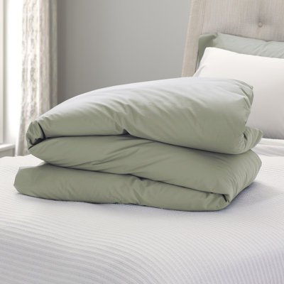 Comforter