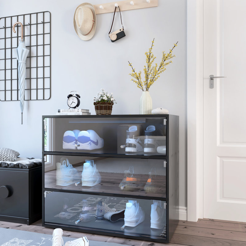 Armoire à chaussures à DEL avec verre noir, boîte de rangement et façade en verre