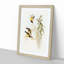 Australian Sunbirds by Elizabeth Gould - Framed Print-55457004-55457005