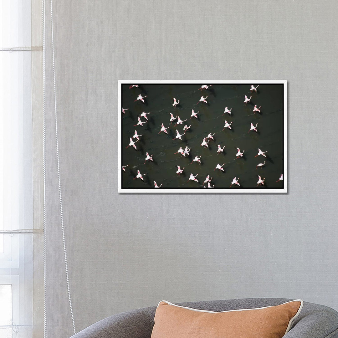 Lesser Flamingo Flock Taking Flight From The Surface Of A Lake, Kenya II von Tim Fitzharris - Gallery-Wrapped Canvas Gic...