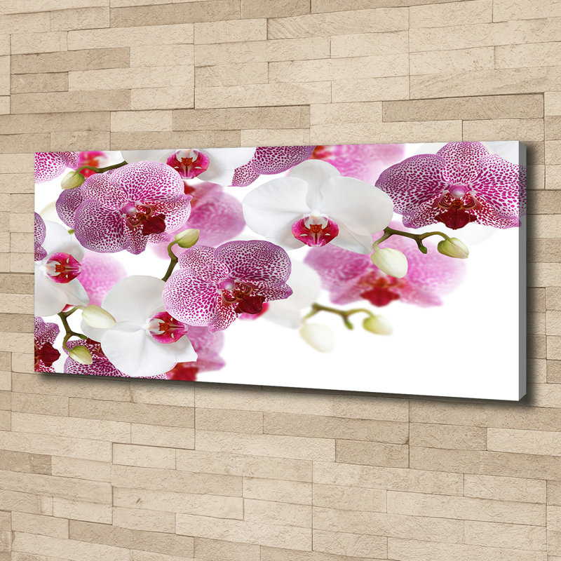 Orchid - Wrapped Canvas Print