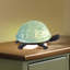 Lampe de bureau Chumlee Tiffany Turtle-1428950125