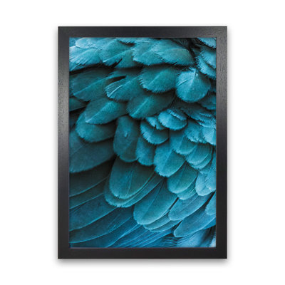 Blue Feathers 1 Piece Wall Art