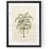 Ebony Framed Print est en rupture de stock