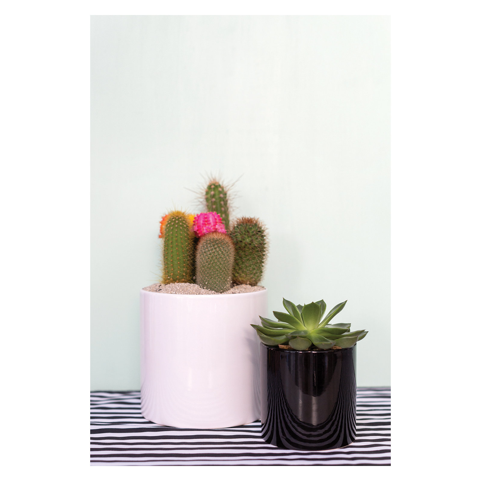 Handmade Ceramic Pot Planter, White, 6.25" H x 6.5" W x 6.5" D