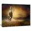 « cheval galloping through valley », reproduction de photo sur toile tendue-25565576