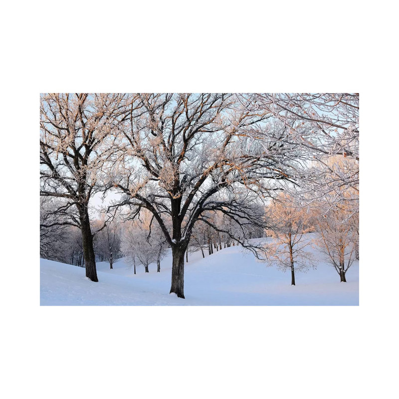 Morning Glow by Brian Wolf - Wrapped Canvas Print, 30.48cm H x 45.72cm W x 1.91cm D
