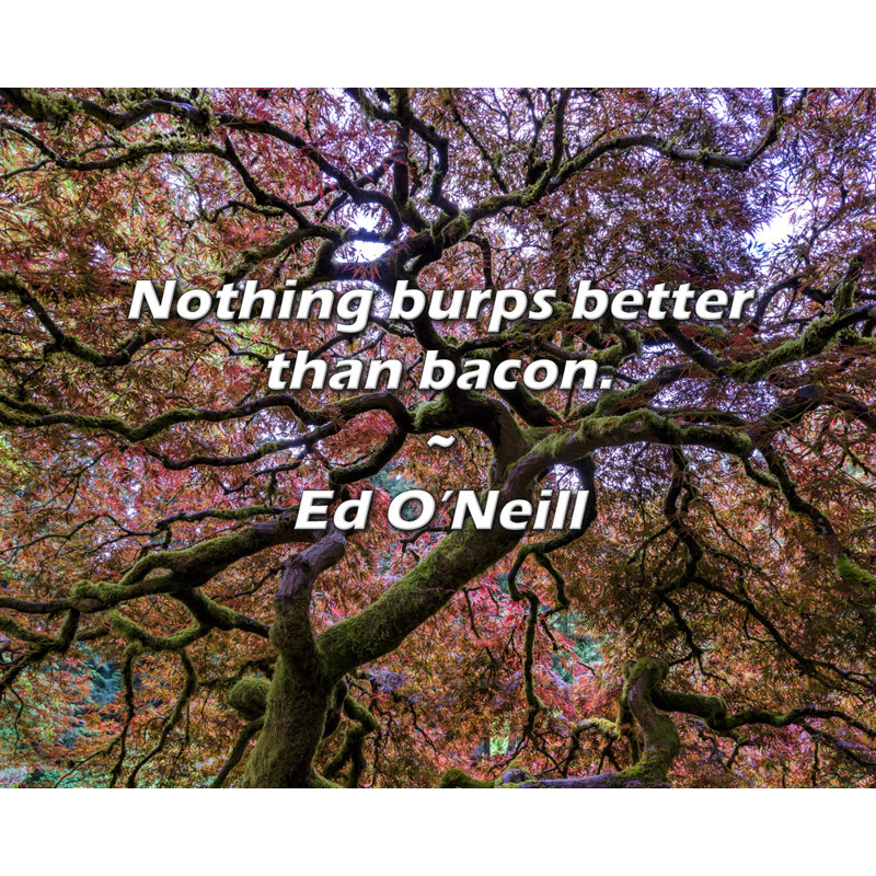 Ed O'Neill Quote: Nothing burps better than bacon.