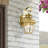 Alexavier Wall Light-594090470
