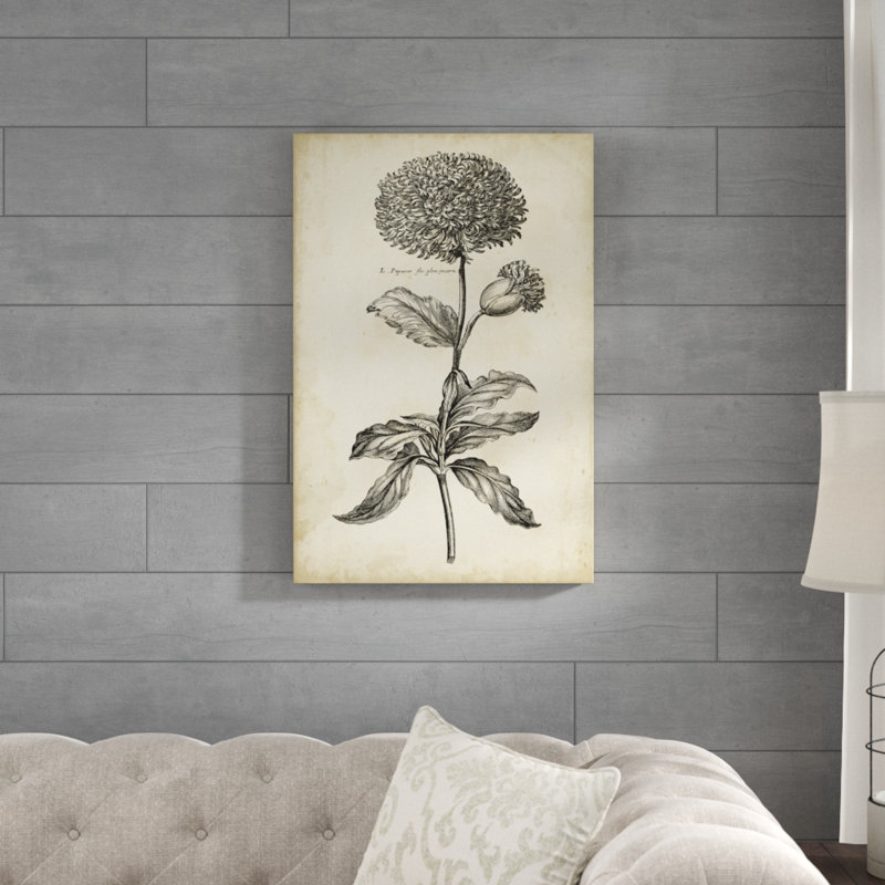 Singular Beauty II 1 Piece Wall Art on Canvas, 76cm H x 51cm W, Wrapped Canvas