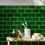Viva Antic 6'' L x 3'' W Ceramic Bullnose Tile Trim