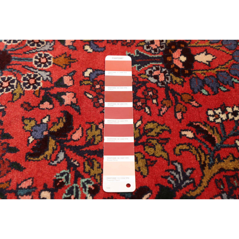 Tapis rouge Anadol 2 pi 7 po x 9 pi 4 po