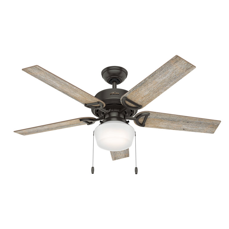 52" Viola 5 - Blade Standard Ceiling Fan with Pull Chain and Light Kit Included