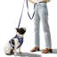 Harnais pour animal de compagnie Arlo-112400925-128618013