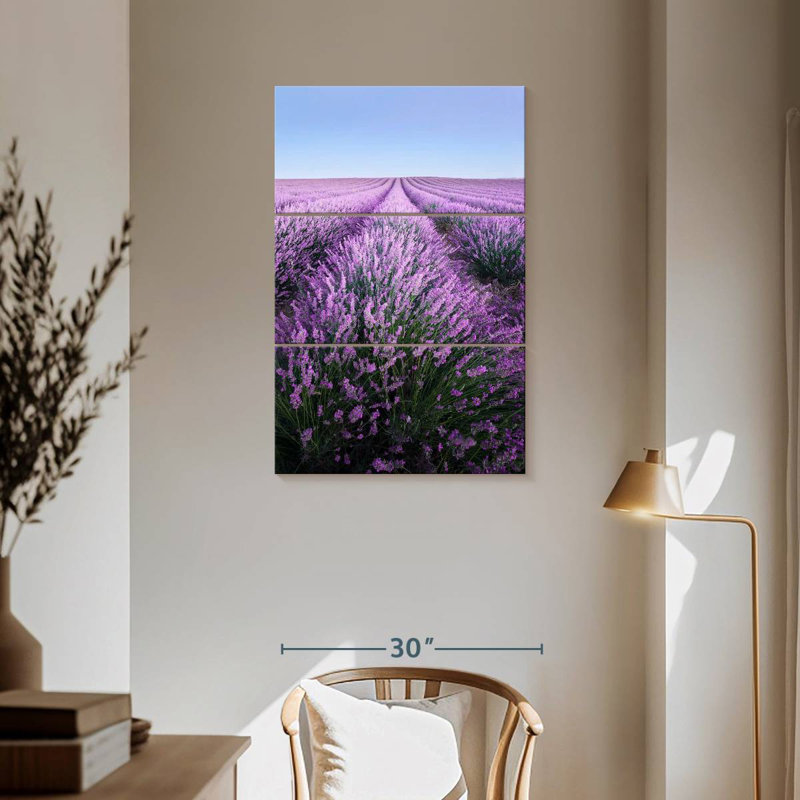 Lavande française Alvord Provence