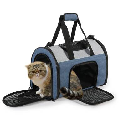 Tucker Murphy Pet™ Cales Extra Large Cat Pet Carrier & Reviews