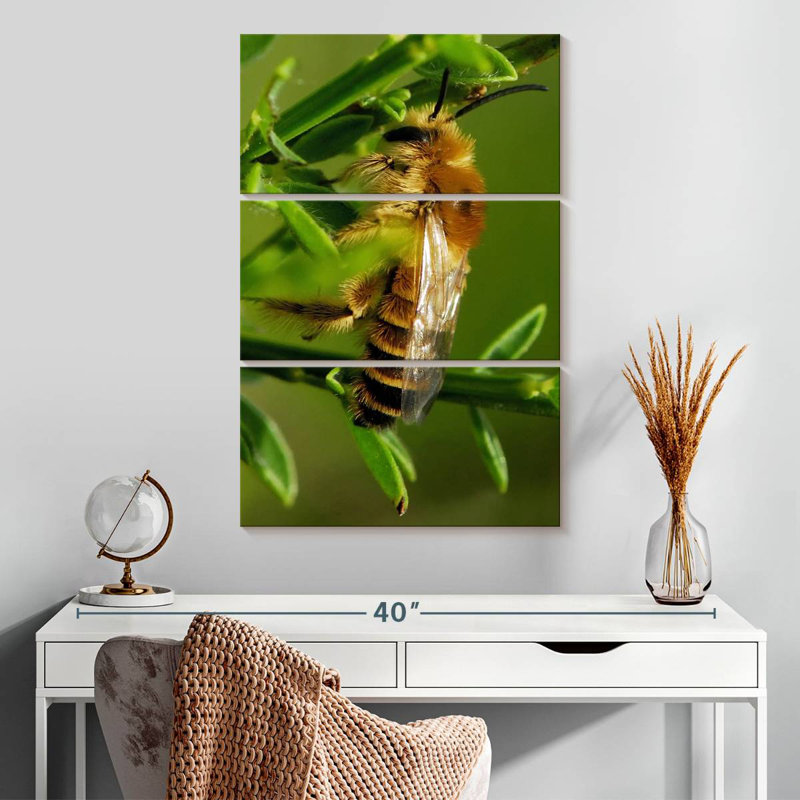 Brampt Bee Bee Bee, H 32 po x l 20 po