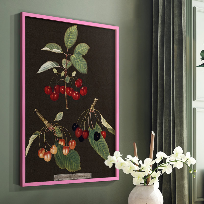 Brookshaw Cherries, reproduction encadrée - bois massif, Rose, H 10 po x l 8 po