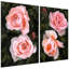 «Ethereal Roses I & II» 2 pièces