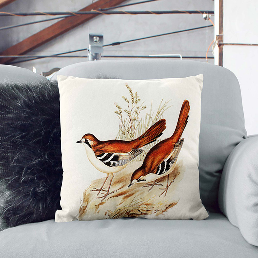 Eastern Scrub-Robin Birds by Elizabeth Gould Cushion with Filling