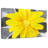 Harnek Bright Yellow Daisy-109395821