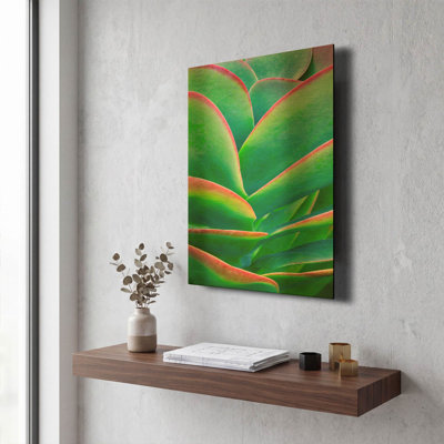 'Succulent VIII' By Dennis Frates Gold Metal Wall Art, 12" x 16"