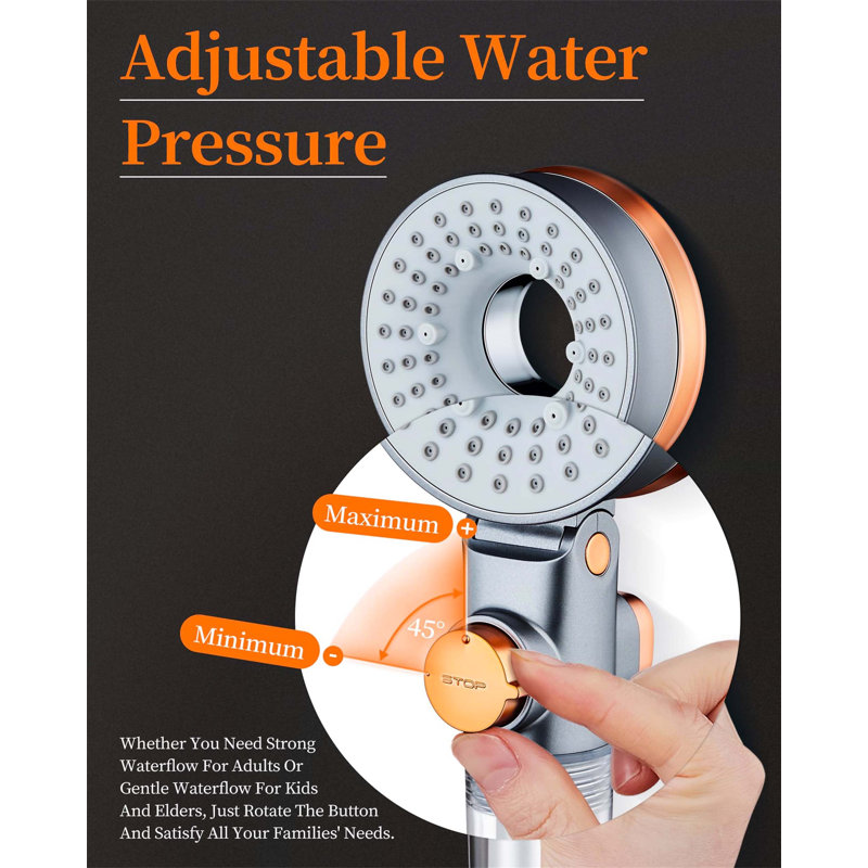 Shower Head With Filter And 3 Shower Modes, Gold