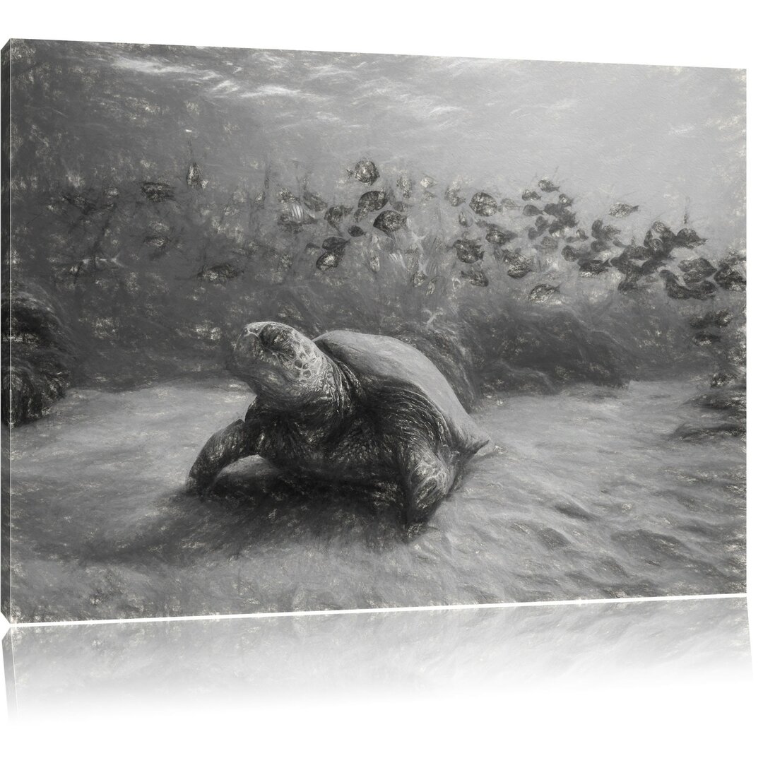 Leinwandbild Schildkröten in Grau