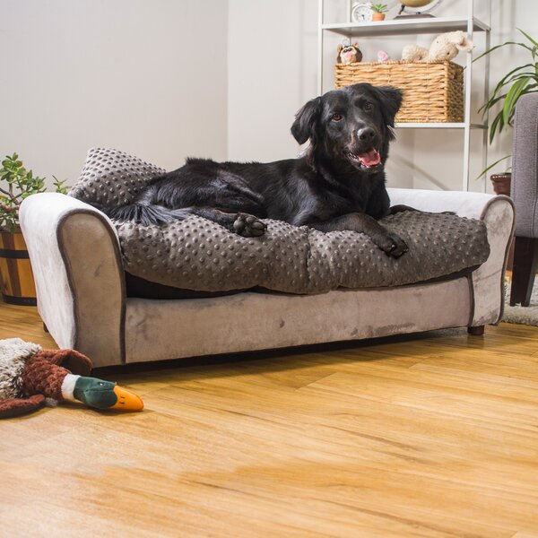 Tucker Murphy Pet™ Pablo Dog Sofa & Reviews | Wayfair