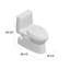 Carlyle® II 1 GPF Elongated One-Piece Toilet (Seat Included)-67231082-29168539