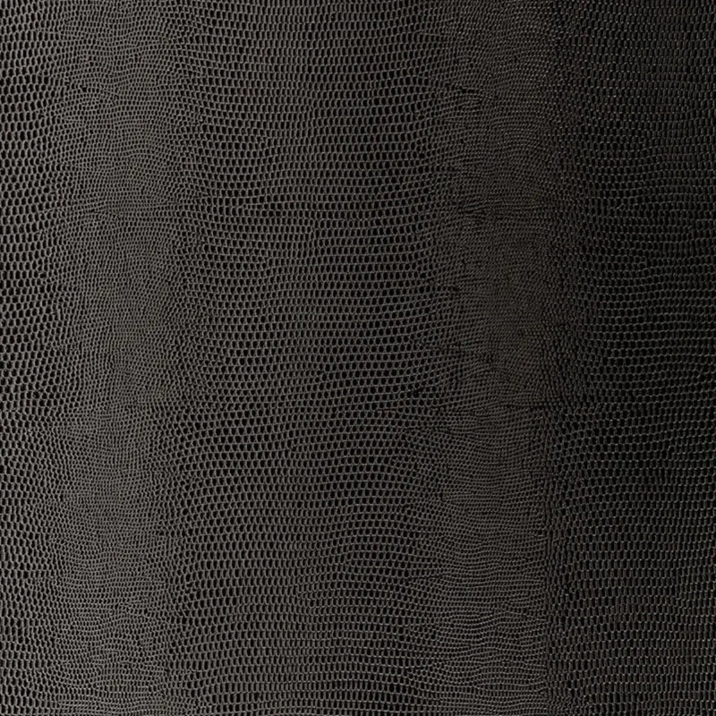 Papier peint lézard, Carbone