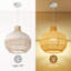 Carolus Dome Pendant Light, 1 Light