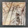 12" X 12" Micro-beveled Forrest Brown Marble Wall and Floor Use Tile