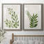 Botanical Wash I - ensemble de 2 reproductions-463140512-463140517-463140523