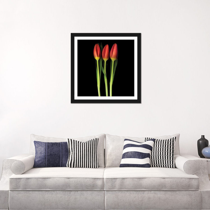 Tulipe trinité, reproduction de photo sur toile tendue, H 24 po x l 24 po x P 1 po, Papier d'art encadré noir, Blanc