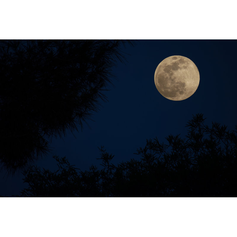 Full Moon by CochiseVista - Wrapped Canvas Print, 30cm H x 46cm W