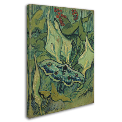 «Emperor Moth» par Vincent Van Gogh - reproduction d'art sur toile tendue