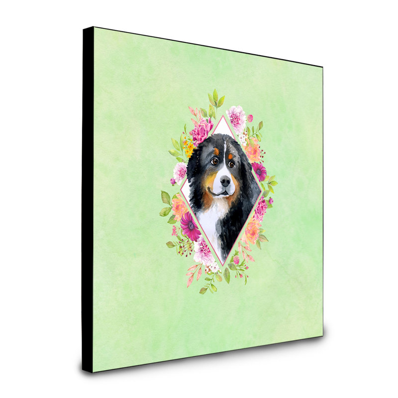Panneau mural Dollman Flowers, Rose, Bouvier bernois noir