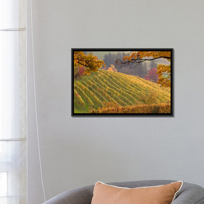 « automne vineyard landscape, newberg, yamhill county, oregon, états-unis », reproduction de photo sur toile