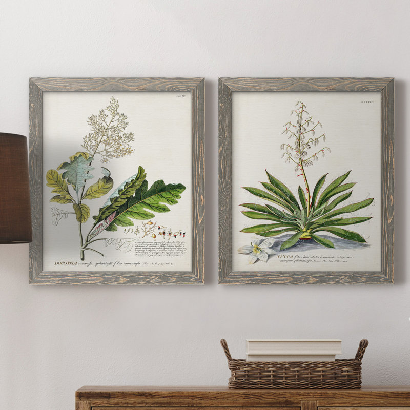 «Allurant Botanical I», ensemble de 2 reproductions d'art sur toiles, H 24 po x l 36 po x P 1,5 po, Toile avec cadre gris