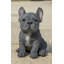 Statue chiot bouledogue français assis